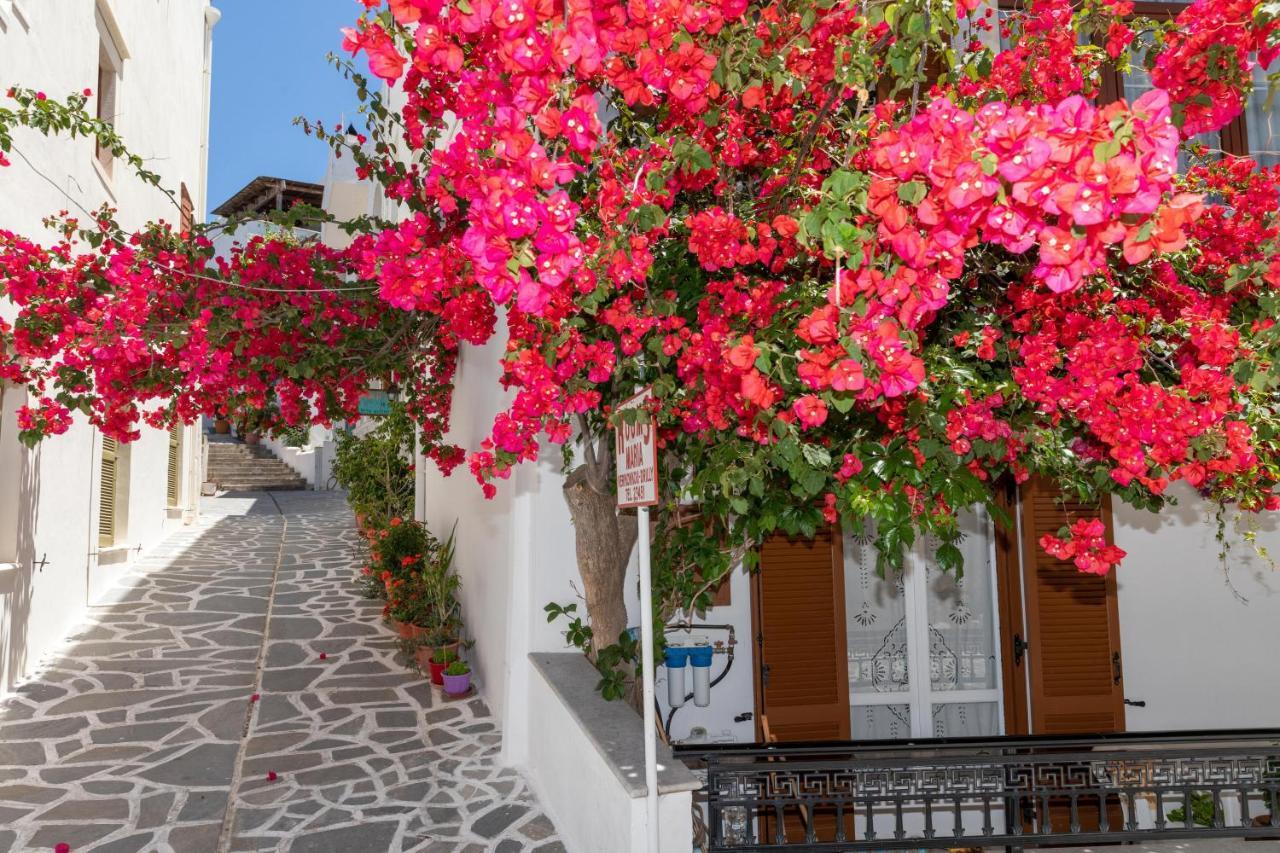 Rooms Maria Naxos City Zewnętrze zdjęcie